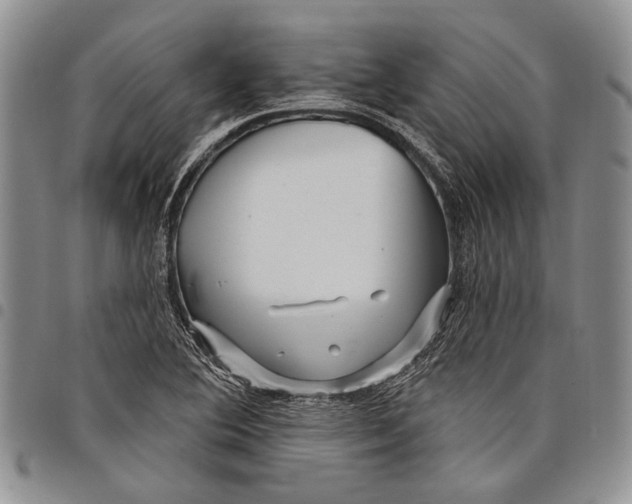 X0000097971364200804141041