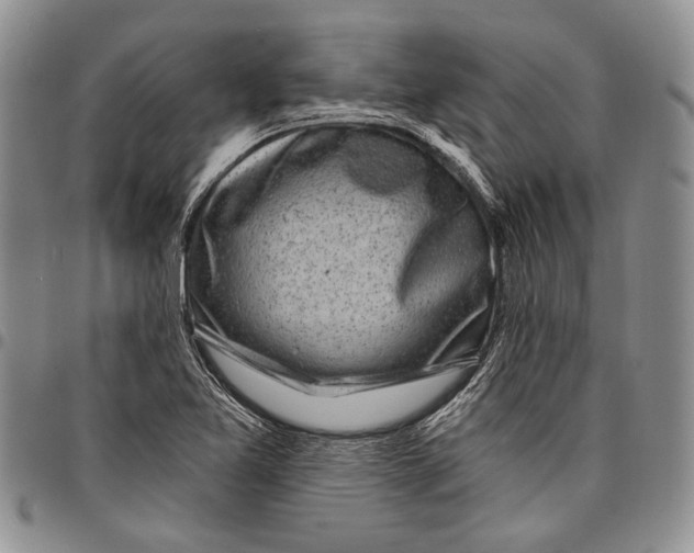 X0000097971365200804141041