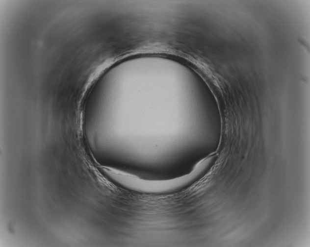 X0000097971366200804141041