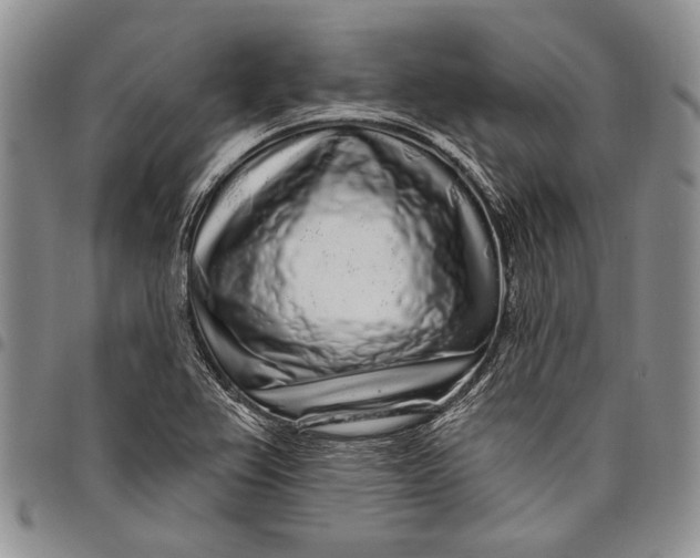 X0000097971367200804141041