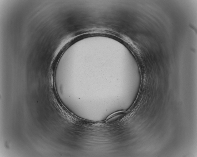 X0000097971368200804141041
