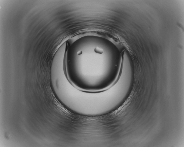 X0000097971369200804141041