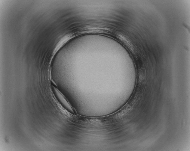 X0000097971370200804141041