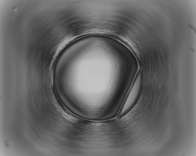 X0000097971371200804141041