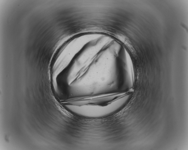 X0000097971372200804141041
