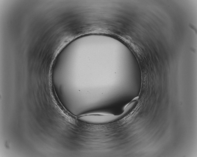 X0000097971375200804141041