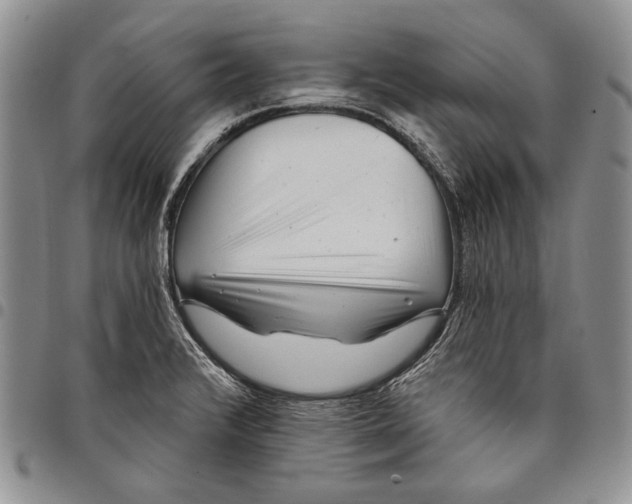 X0000097971376200804141041