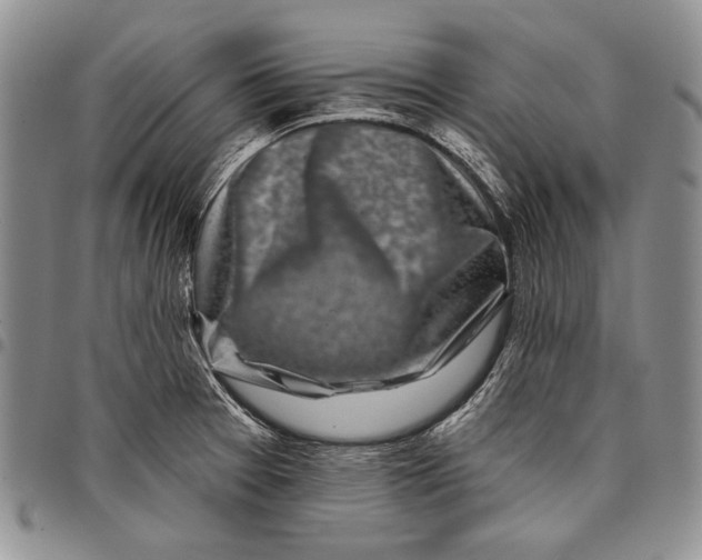 X0000097971377200804141041