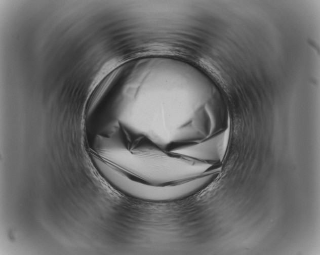 X0000097971378200804141041
