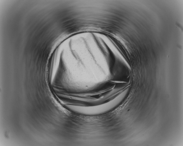 X0000097971379200804141041