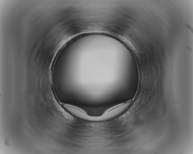 X0000097971380200804141041