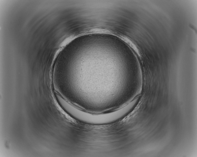 X0000097971381200804141041