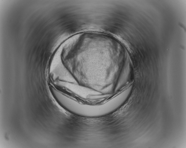 X0000097971383200804141041