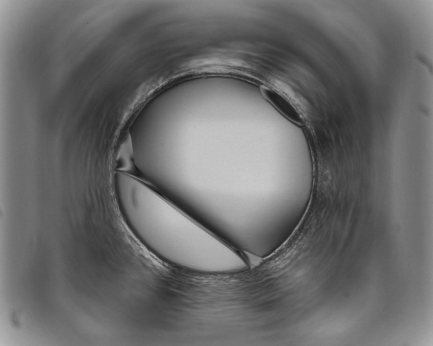 X0000097971384200804141041