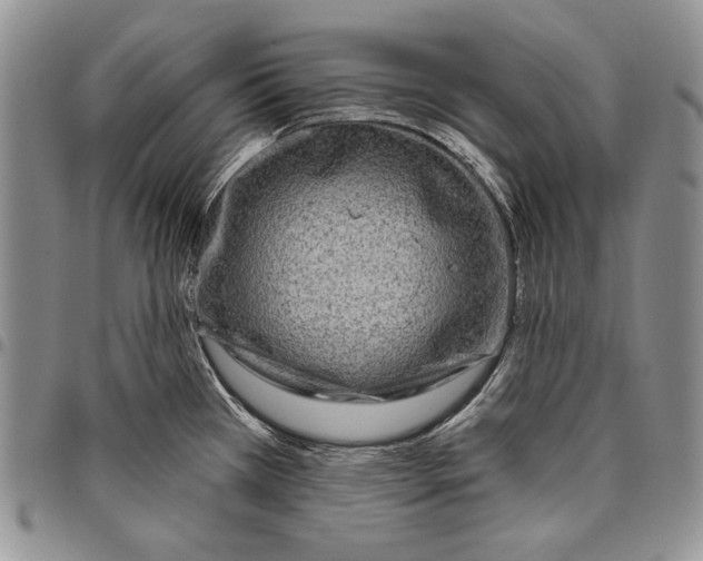 X0000097971385200804141041