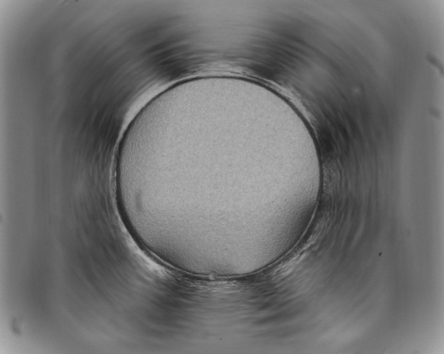 X0000097971387200804141041