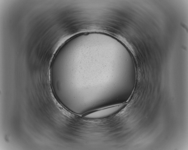 X0000097971388200804141041