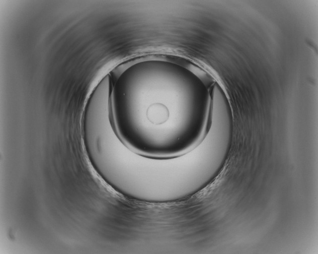 X0000097971389200804141041
