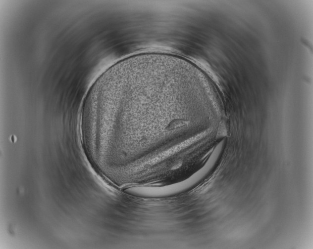 X0000097971391200804141041