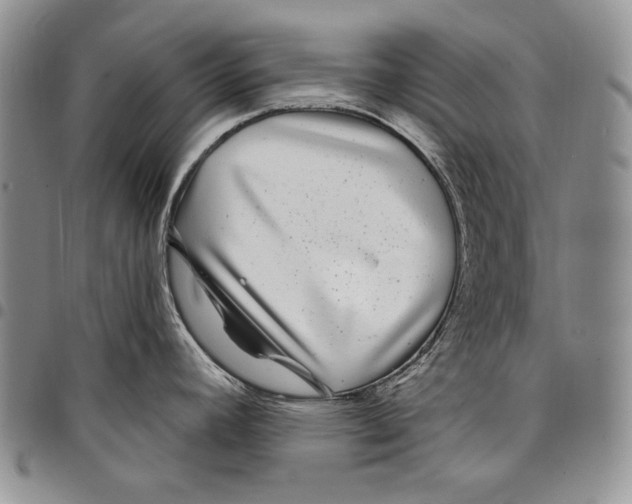 X0000097971392200804141041