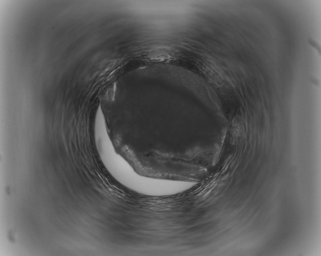 X0000097971394200804141040
