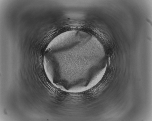 X0000097971396200804141040