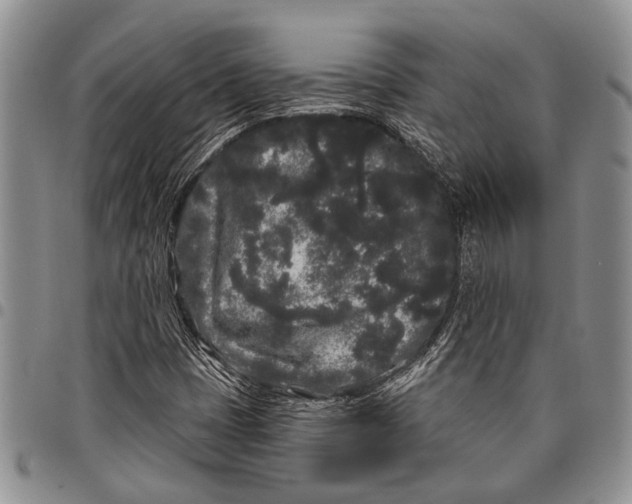X0000097971401200804141040