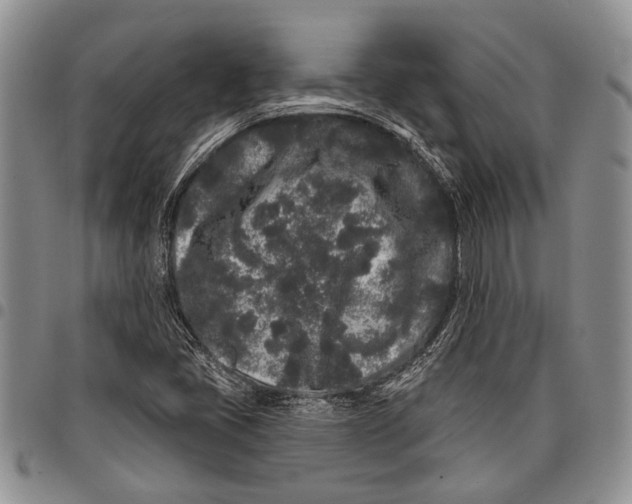 X0000097971405200804141040