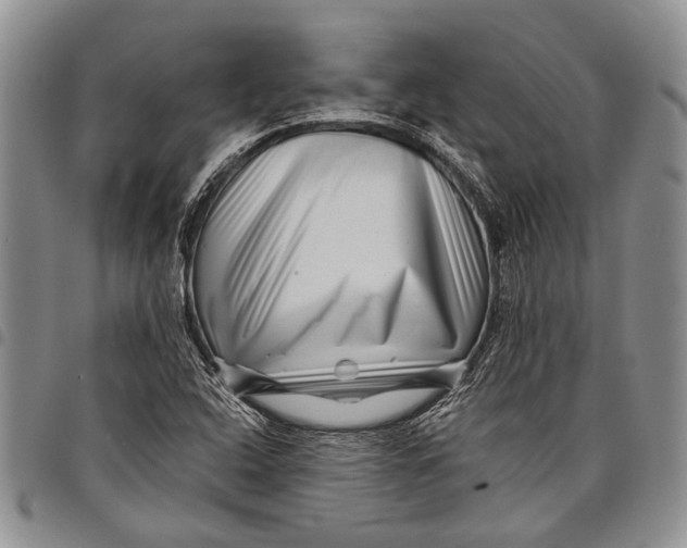 X0000097971408200804141040