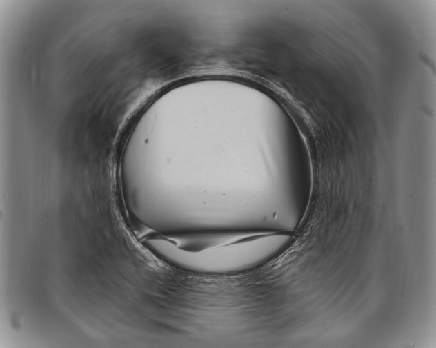 X0000097971416200804141040
