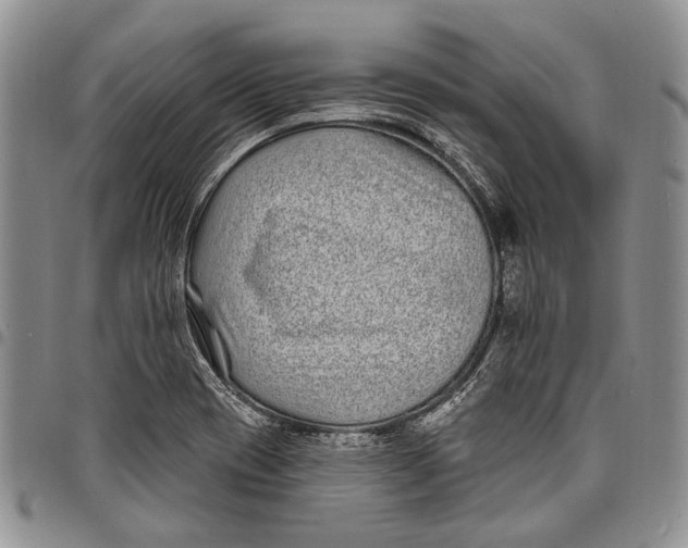 X0000097971417200804141040