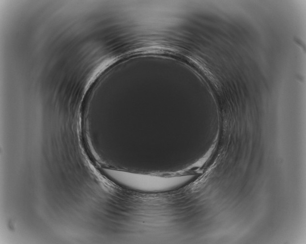 X0000097971418200804141040