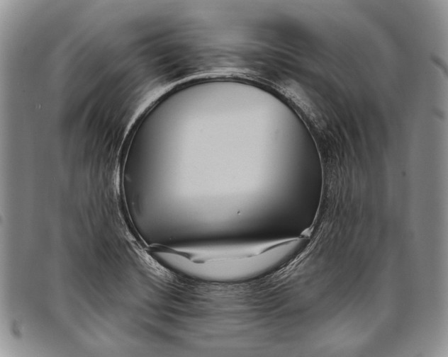 X0000097971420200804141040