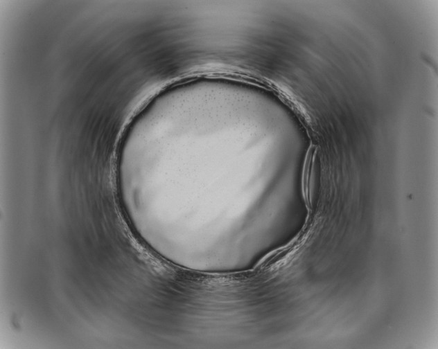 X0000097971421200804141040