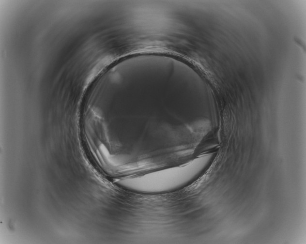 X0000097971422200804141040