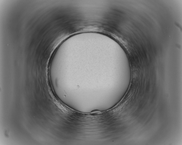 X0000097971423200804141041