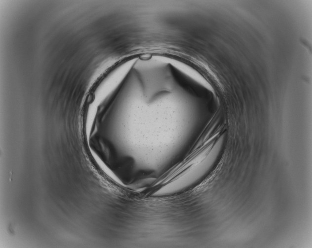 X0000097971424200804141041
