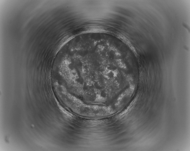 X0000097971425200804141041