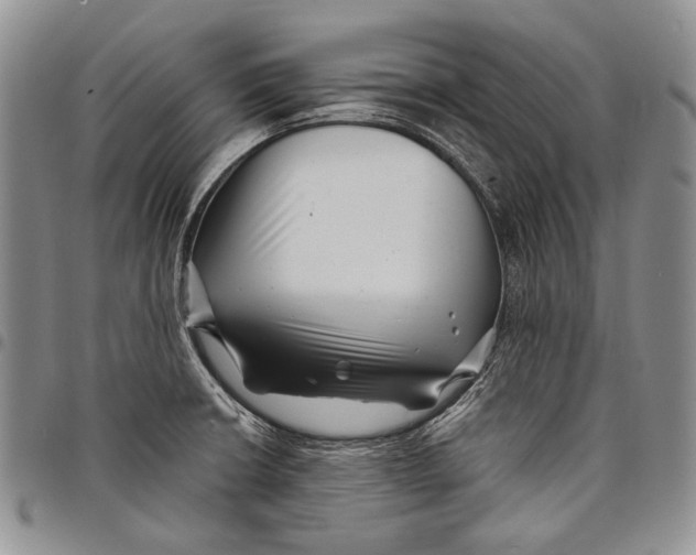 X0000097971426200804141041
