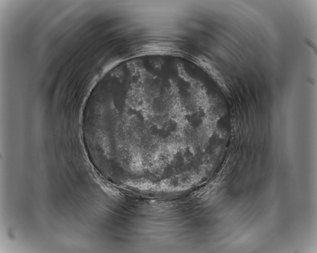 X0000097971427200804141041
