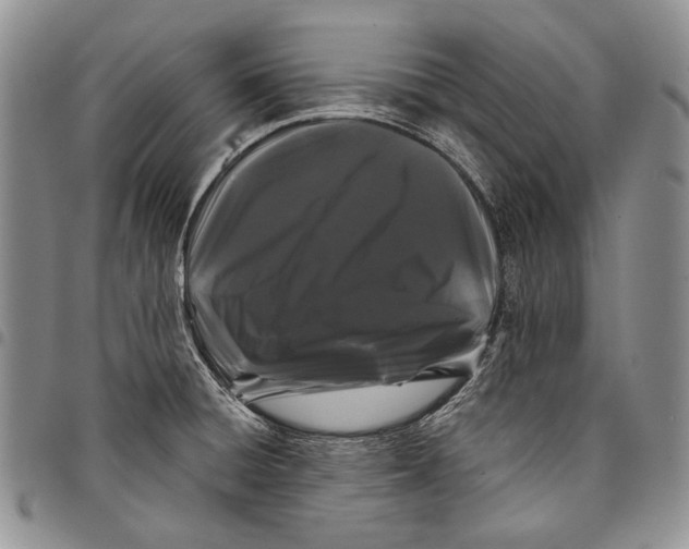 X0000097971428200804141041