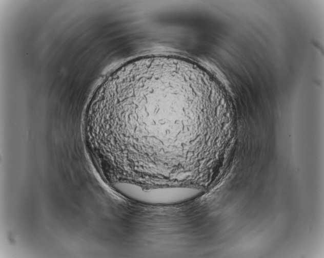 X0000097971429200804141041