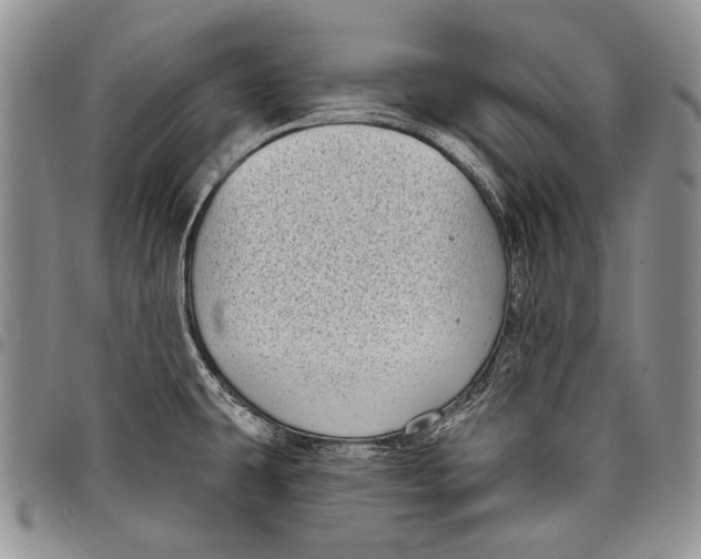 X0000097971431200804141041