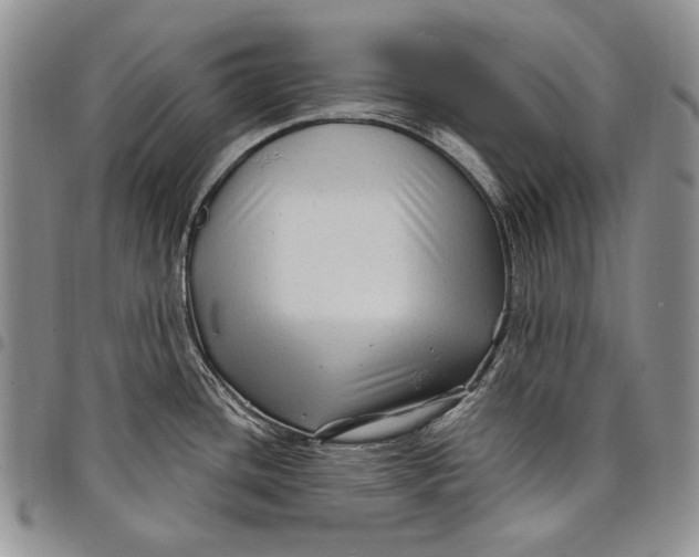 X0000097971436200804141041