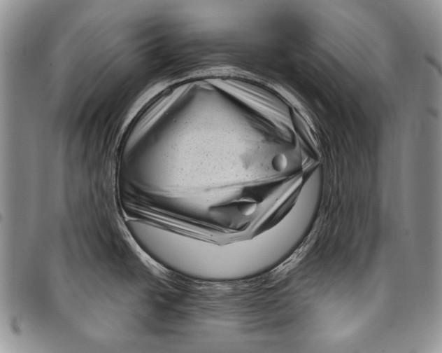 X0000097971438200804141041