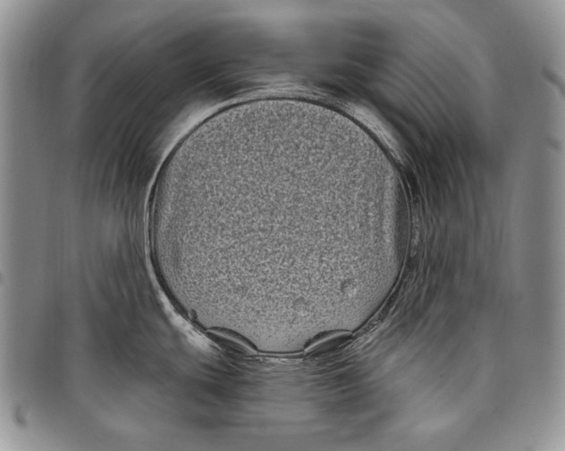 X0000097971439200804141041