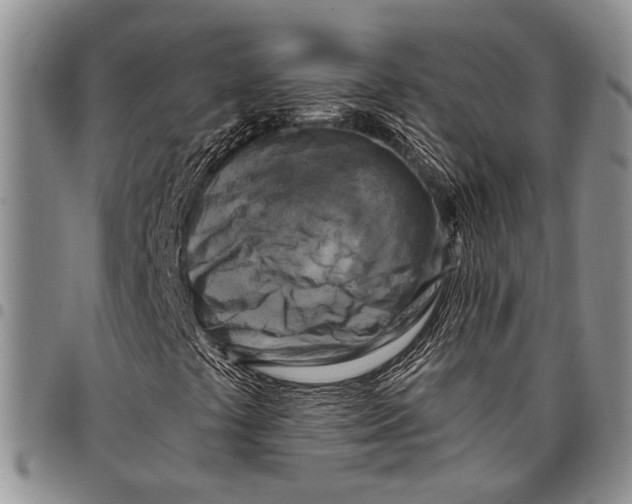X0000097971441200804141040