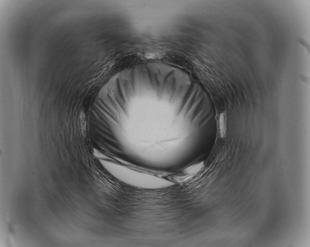 X0000097971443200804141040