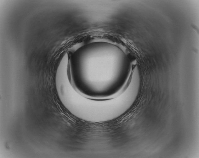 X0000097971445200804141040