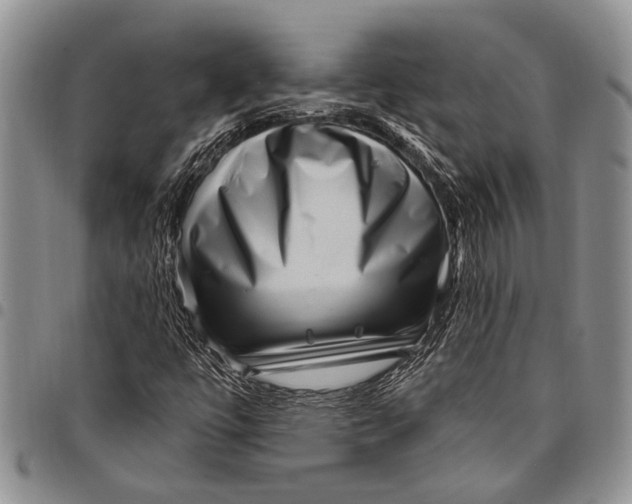 X0000097971447200804141040